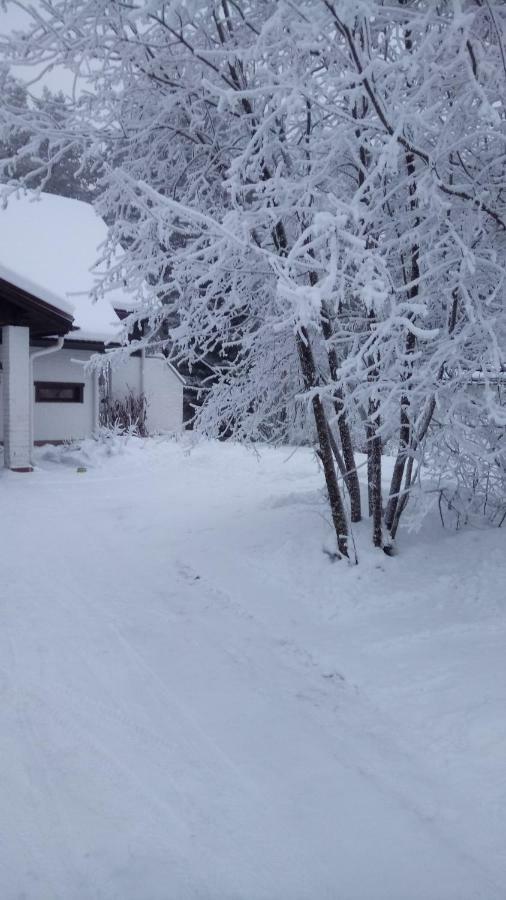 The House Near Santa Park Villa Rovaniemi Eksteriør billede