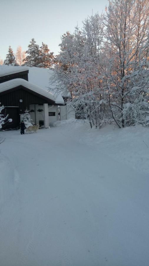 The House Near Santa Park Villa Rovaniemi Eksteriør billede