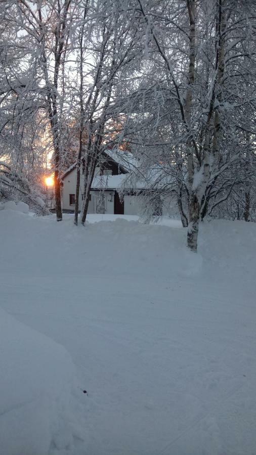 The House Near Santa Park Villa Rovaniemi Eksteriør billede